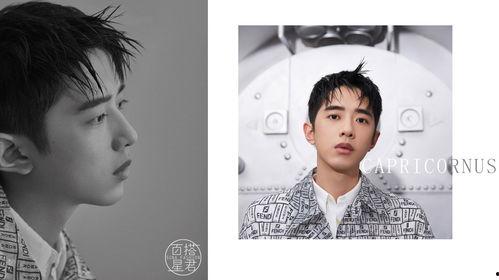 摩羯座 男明星,揭秘低调沉稳的摩羯男明星风采”